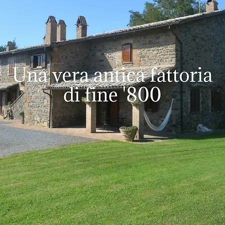 Il Palluccaro * Acquapendente