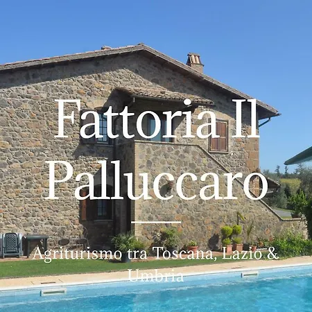 Il Palluccaro * アックアペンデンテ