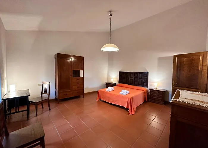 Il Palluccaro *
