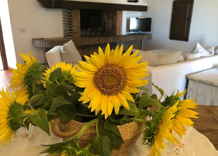 Il Palluccaro Κατάλυμα σε φάρμα *